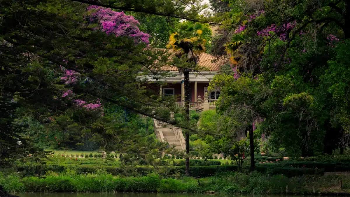 Santa Rita eleita melhor vinícola do mundo e celebra legado histórico!