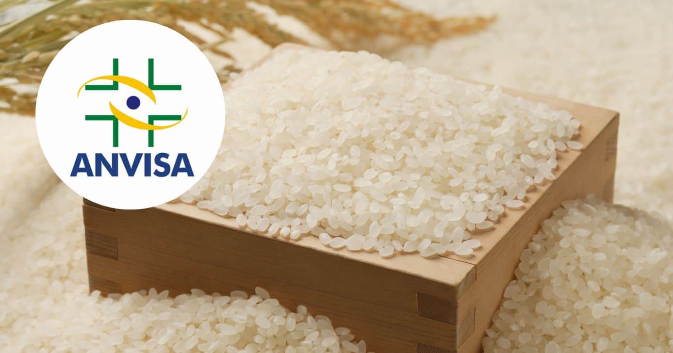 Arroz: Alerta da Anvisa e riscos do arsênio em massa devido às mudanças climáticas