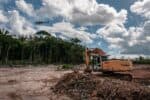 Desmatamento avança em todos os biomas; Amazônia registra queda histórica e Cerrado continua com maior destruição
