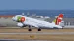 A Polícia Federal impede o embarque de voo devido à recusa da companhia aérea TAP em transportar um cão