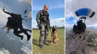 Imagem card com fundo