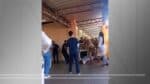 Policial do batalhão de operações especiais fatalmente vítima de ocorrência no Complexo da Cidade de Deus