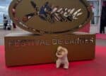 A estrela Lulu-da-pomerânia brilha no Festival de Cannes