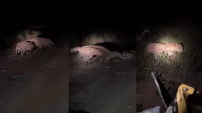 Imagem do post de destaque