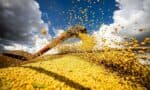 O Instituto Brasileiro de Geografia e Estatística (IBGE) projeta que a produção agrícola no ano de 2025 totalize 328,4 milhões de toneladas