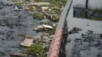 A Baía de Guanabara recebe 3 milhões de litros de chorume diariamente