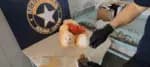 Apreensão de substâncias ilícitas realizada através de um brinquedo de urso em um aeroporto localizado em Fortaleza