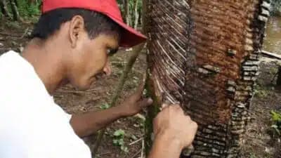 Imagem card com fundo