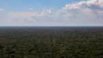 O desmatamento na Amazônia aumentou 92&percnt; em um ano, em maio