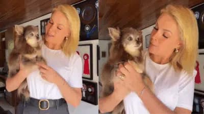 Imagem card com fundo