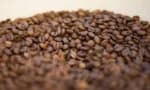 Como identificar: café solúvel, pó instantâneo e café comum