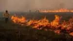 O Brasil registrou 4.263 focos de incêndio em maio, com 59&percnt; deles ocorrendo na região do Cerrado