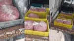 Em Belo Horizonte, veículo encontra-se alagado com 140 kg de carne moída deteriorada, sendo apreendido
