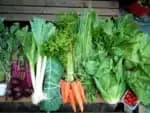 Novo congresso de agricultura orgânica é considerado “revolucionário” por especialistas