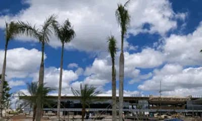 Imagem card com fundo