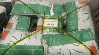 Imagem card com fundo