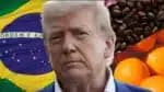 Efeito Trump: compreenda o impacto dos produtos brasileiros isentos e os encargos adicionais
