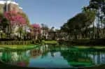 Descubra os motivos pelos quais Belo Horizonte é o destino predileto de aposentados, oferecendo opções de lazer, bem-estar e custo acessível