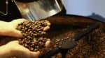 Brasil autoriza 183 exportadores de café