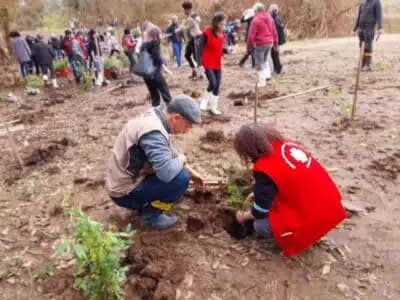 Imagem card com fundo