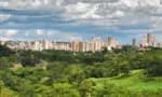 Feira de saúde e cultura em Estrela da Vitória (Uberaba): memória e prosperidade