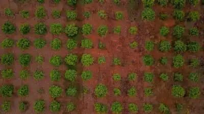 Imagem card com fundo