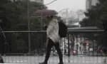 Frio intenso causa queda de temperatura em SP