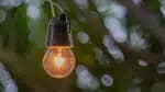 5 maneiras simples de economizar energia elétrica em agosto