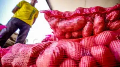 Imagem do post de destaque