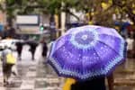 Defesa Civil alerta para fortes chuvas em São Paulo; CGE emite estado de atenção para alagamentos