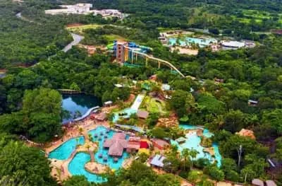 Imagem card com fundo