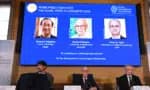Susumu Kitagawa, Omar M. Yaghi e Richard Robson dividem Nobel de Química 2025