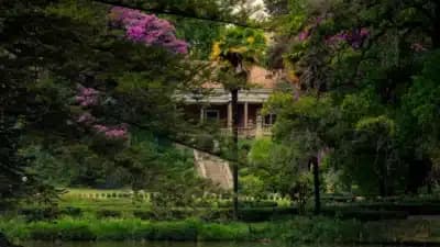 Imagem card com fundo