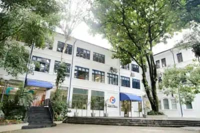 Imagem card com fundo