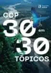Brasil em destaque na COP30: Estudo aponta riscos e urgência global