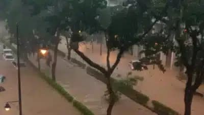 Imagem card com fundo