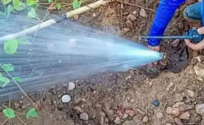 Imagem card com fundo