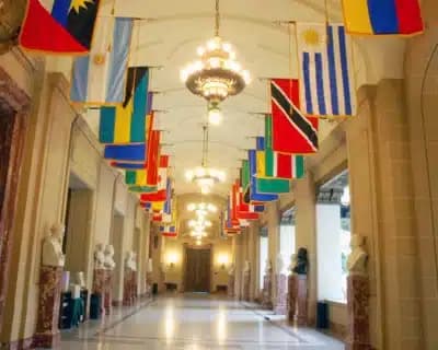 Imagem card com fundo