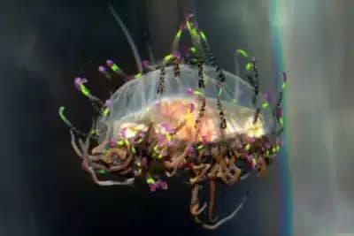 Imagem card com fundo