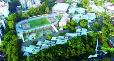 Imagem card com fundo