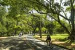 O Parque Ibirapuera recebeu o maior volume de visitantes nos últimos cinco anos