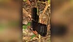 Sete suspeitos de crimes e um agente da polícia falecem em operação no Equador