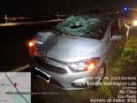 Homem falecer após ser atingido por um veículo na rodovia Washington Luís, em Rio Claro