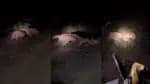 Vídeo registra confronto entre onças-pintadas ocorrido durante safári