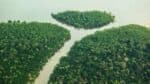 Desmatamento na Amazônia aumenta 163% em dois anos
