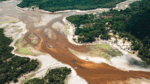 Aumento de 1% na riqueza de uma região está associado a 17 vezes mais secas na Amazônia, aponta estudo