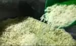 Governo lança programa para estimular a produção de arroz