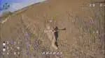 Ucrânia revela vídeo de drones em ataques a tropas russas