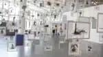 Exposição em São Paulo confirma seleção de artistas para a 36ª edição em 2025