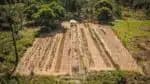 O governo divulgou o Plano Safra, que destina R$ 78,2 bilhões para a agricultura familiar